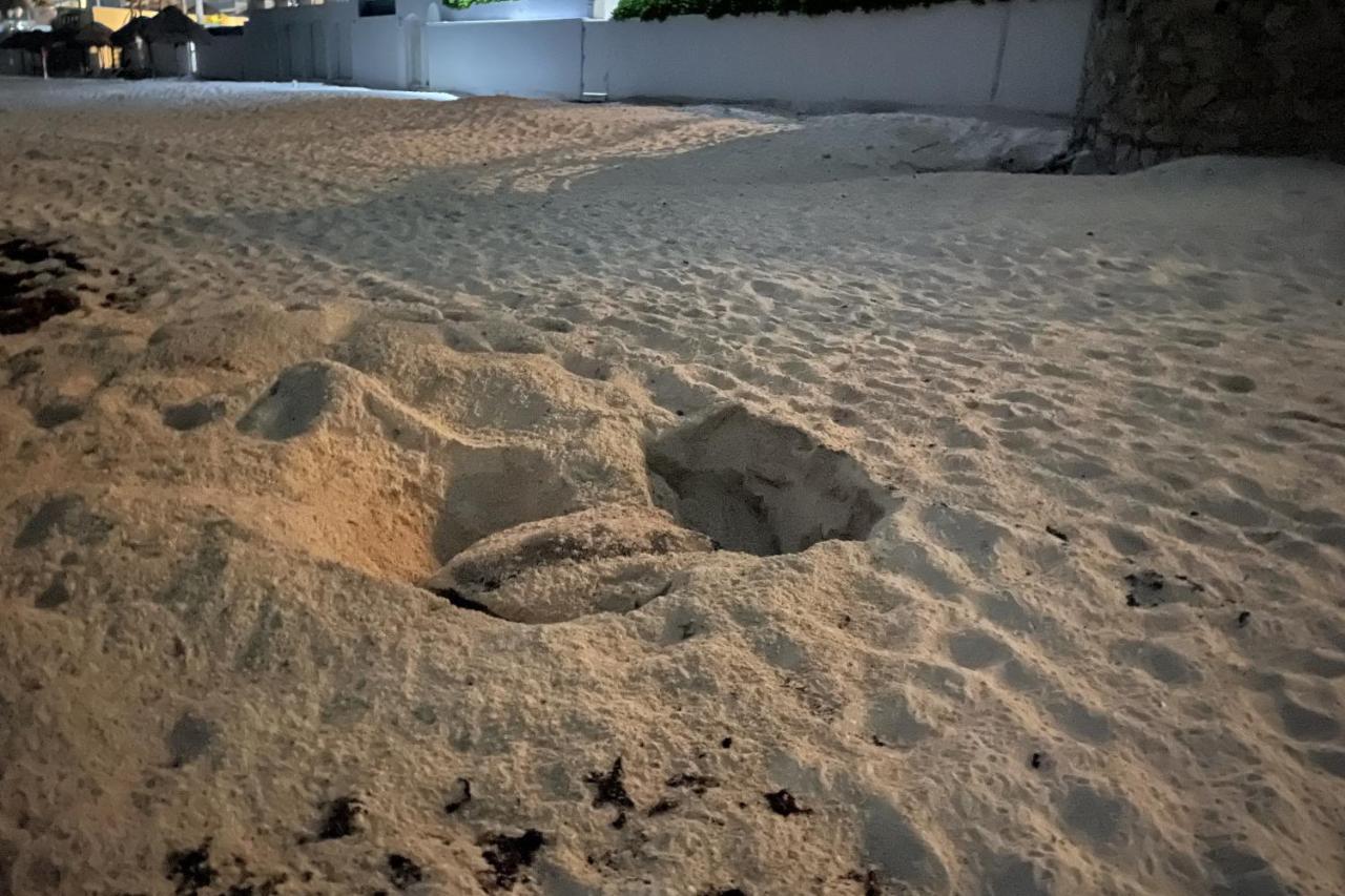 Renovated Studio In Cancun Beach At The Hotel Zone Exterior foto